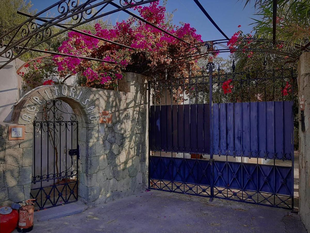 Il Vitigno Di Dioniso Otel Forio di Ischia Dış mekan fotoğraf