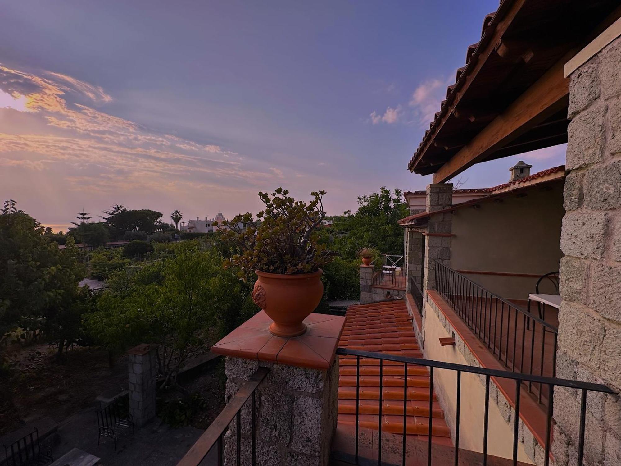 Il Vitigno Di Dioniso Otel Forio di Ischia Dış mekan fotoğraf